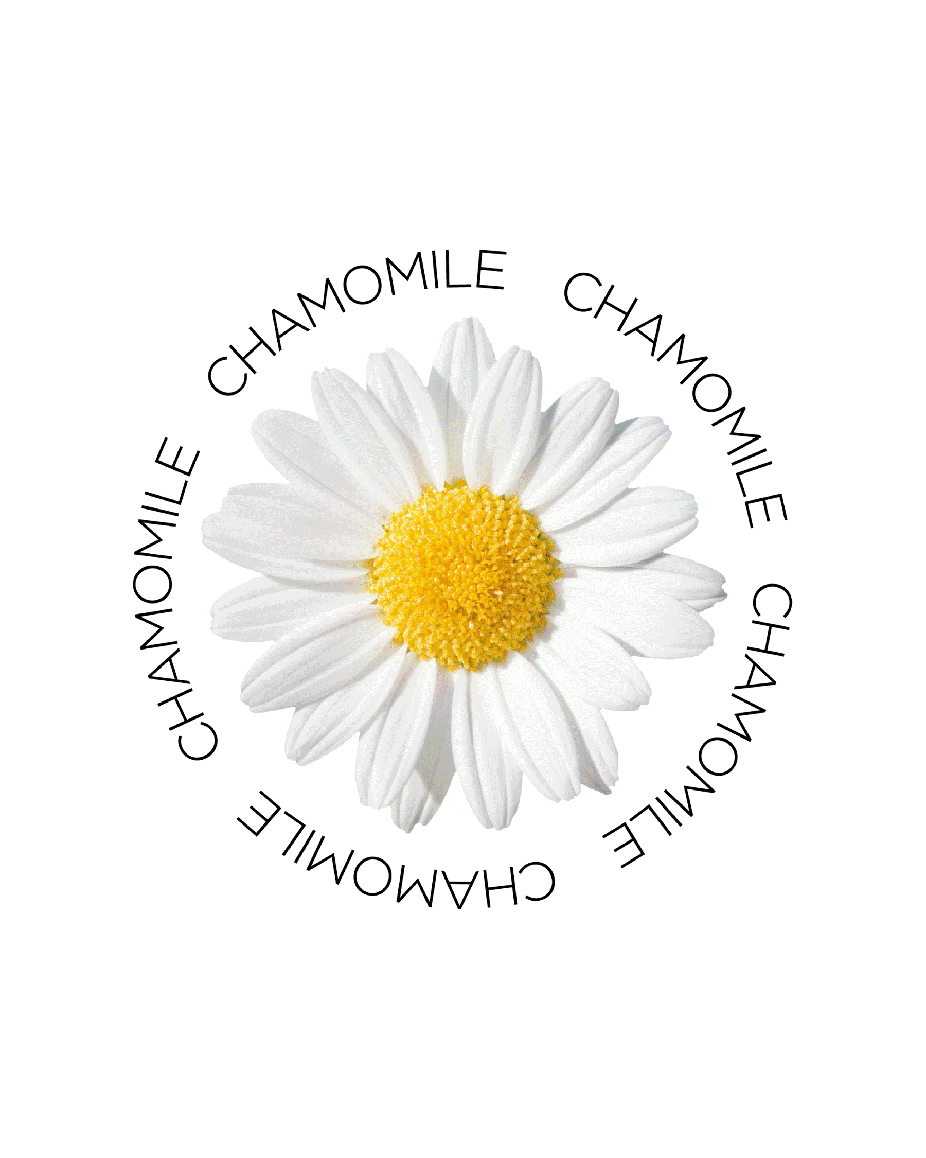 Milu Cosmetics: ingredient animation detail