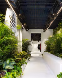 Off White: entrance corridor lined with plants